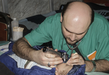 Maryam Rajavi: Attack on Aleppo hospital is a “war crime”