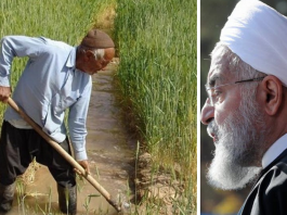 Iran's Agricultural
