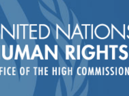 "The recent escalation of allegedly arbitrary arrests of teachers, labour rights defenders and union leaders, lawyers, human rights defenders, and other civil society actors has alarmed us," the experts said.