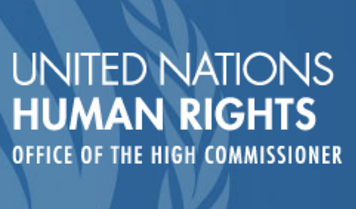 "The recent escalation of allegedly arbitrary arrests of teachers, labour rights defenders and union leaders, lawyers, human rights defenders, and other civil society actors has alarmed us," the experts said.