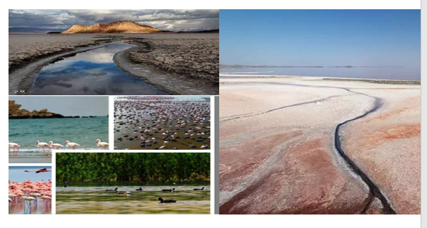 As Lake Urmia's condition worsens, the risk of it becoming an "environmental bomb" grows.