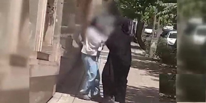 Hijab and Chastity Bill examined according to Article 85