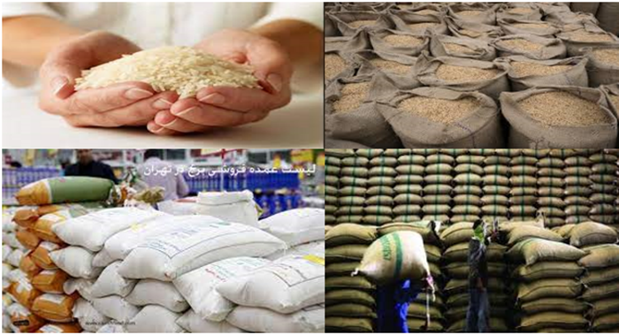 The Tehran Food Market Security Board has pointed out that only certain government-linked individuals have the privilege to import and manipulate rice prices.