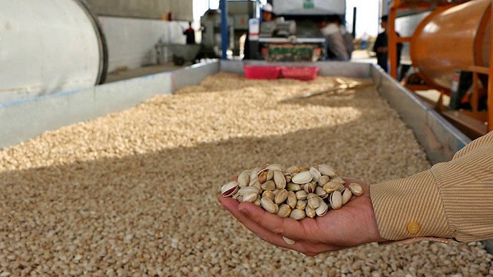 The European Union has announced a ban on Iranian pistachio imports due to high levels of aflatoxin contamination, with the embargo taking effect on November 18, 2024.
