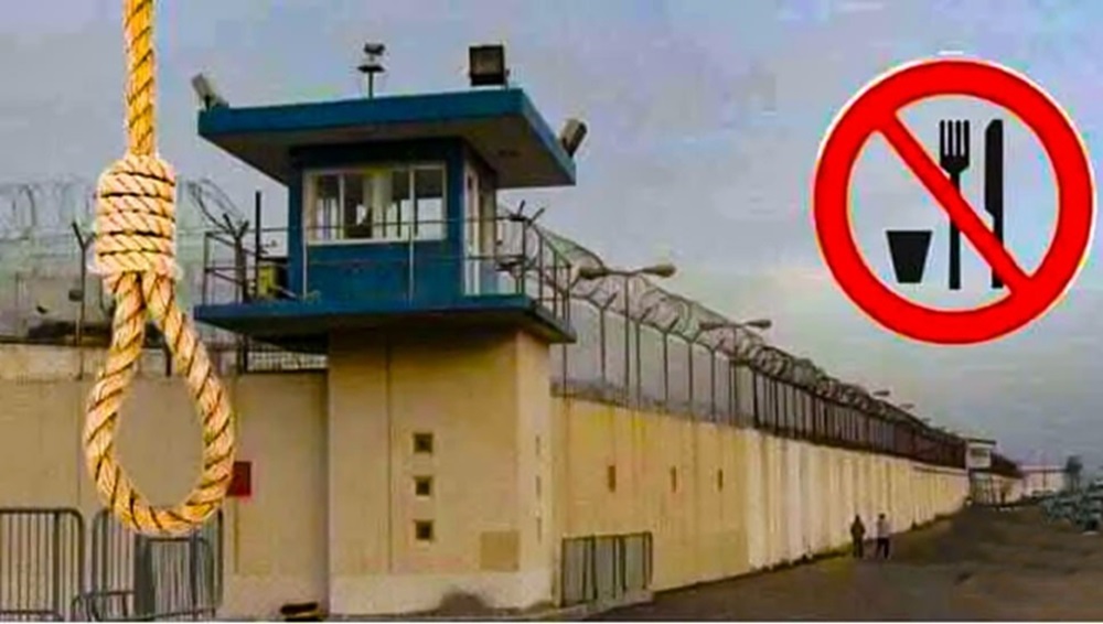 International Human Rights Day, commemorating the adoption of the Universal Declaration of Human Rights in 1948, provided a poignant backdrop for the campaign’s message.