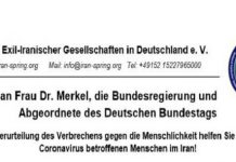 Iranian Diaspora in Germany About The Coronavirus in Iran
