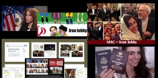 NIAC Seems to be a Lobby for the Iranian